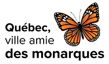 Québec, ville amie des monarques